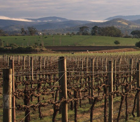 短信测压准确吗